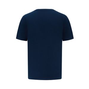 Camiseta Busque Internacional Ayrton Senna