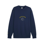 05318_008_70355-008_MOLETOM-A-VIDA--MASCULINO-PUMA-AYRTON-SENNA-1-2.png